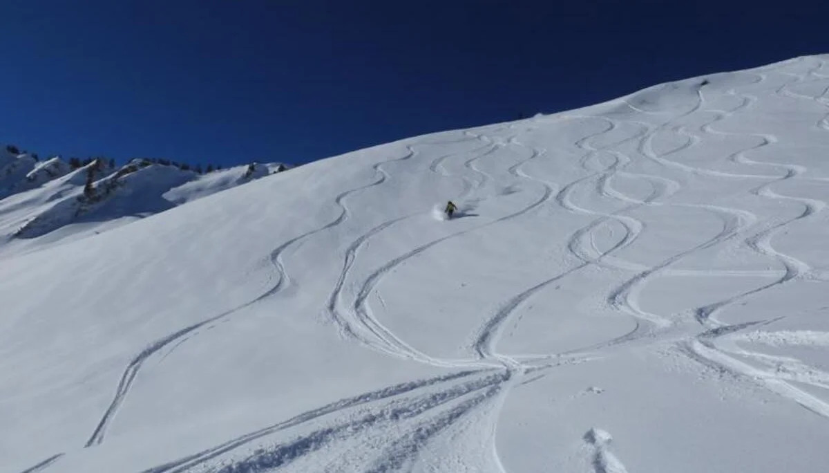 © DAVIllertissen/Rolf Gaupp