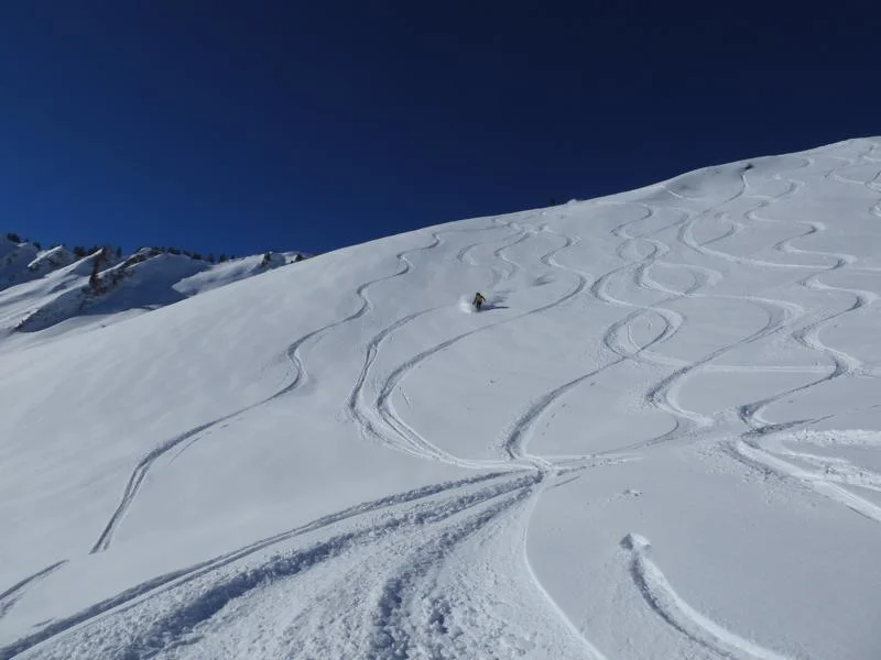 © DAVIllertissen/Rolf Gaupp