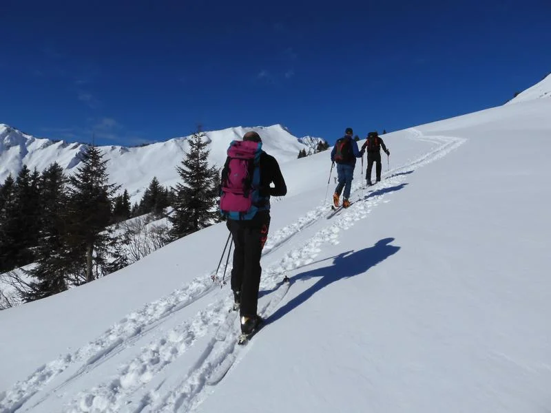 © DAVIllertissen/Rolf Gaupp