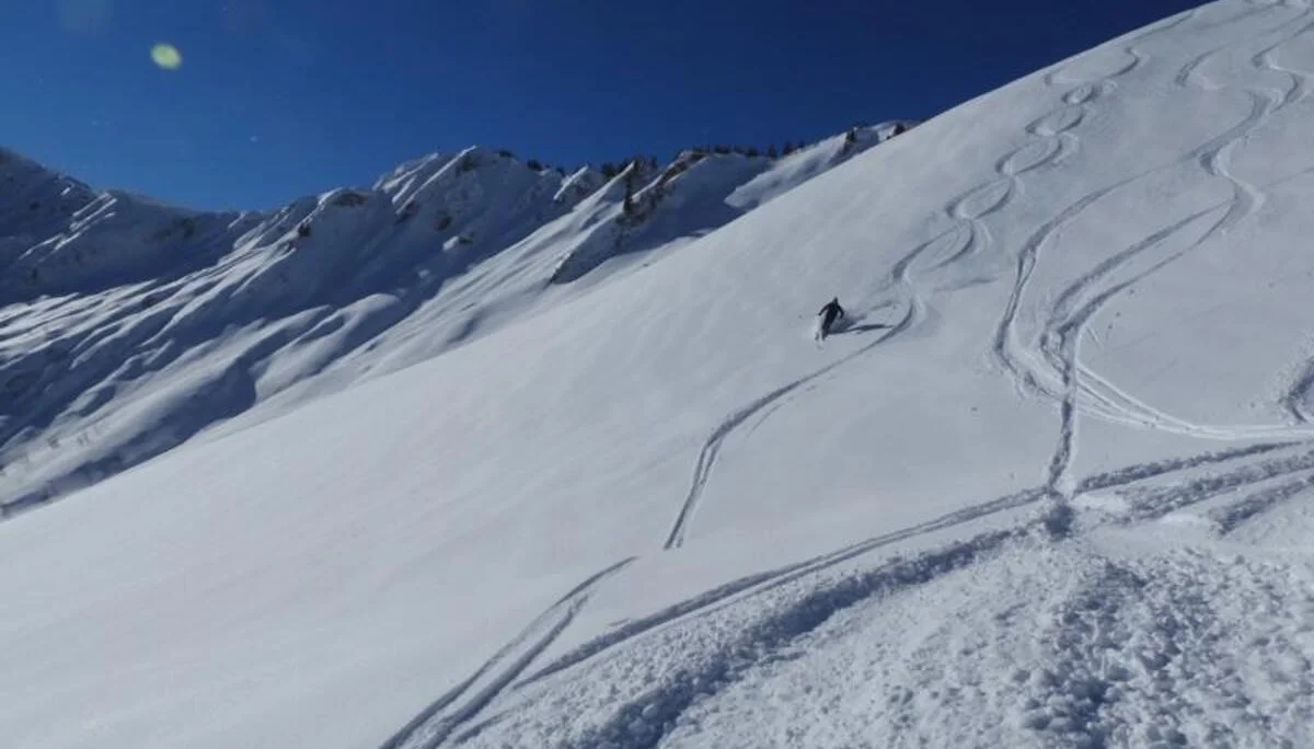 © DAVIllertissen/Rolf Gaupp