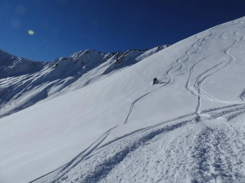 © DAVIllertissen/Rolf Gaupp