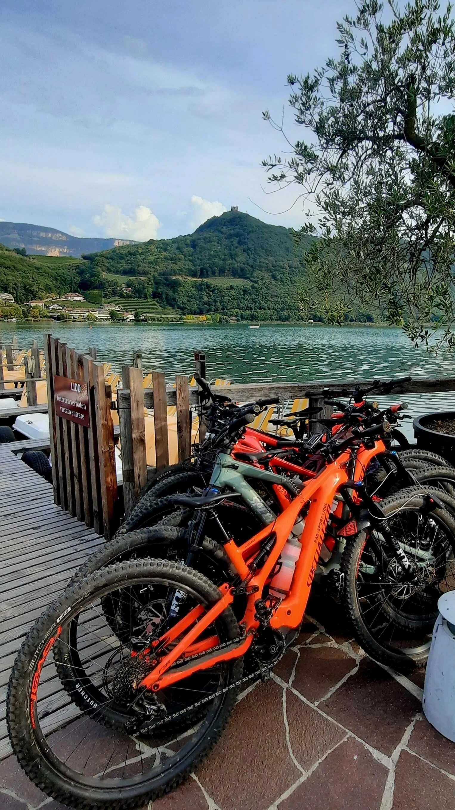© DAV MTB