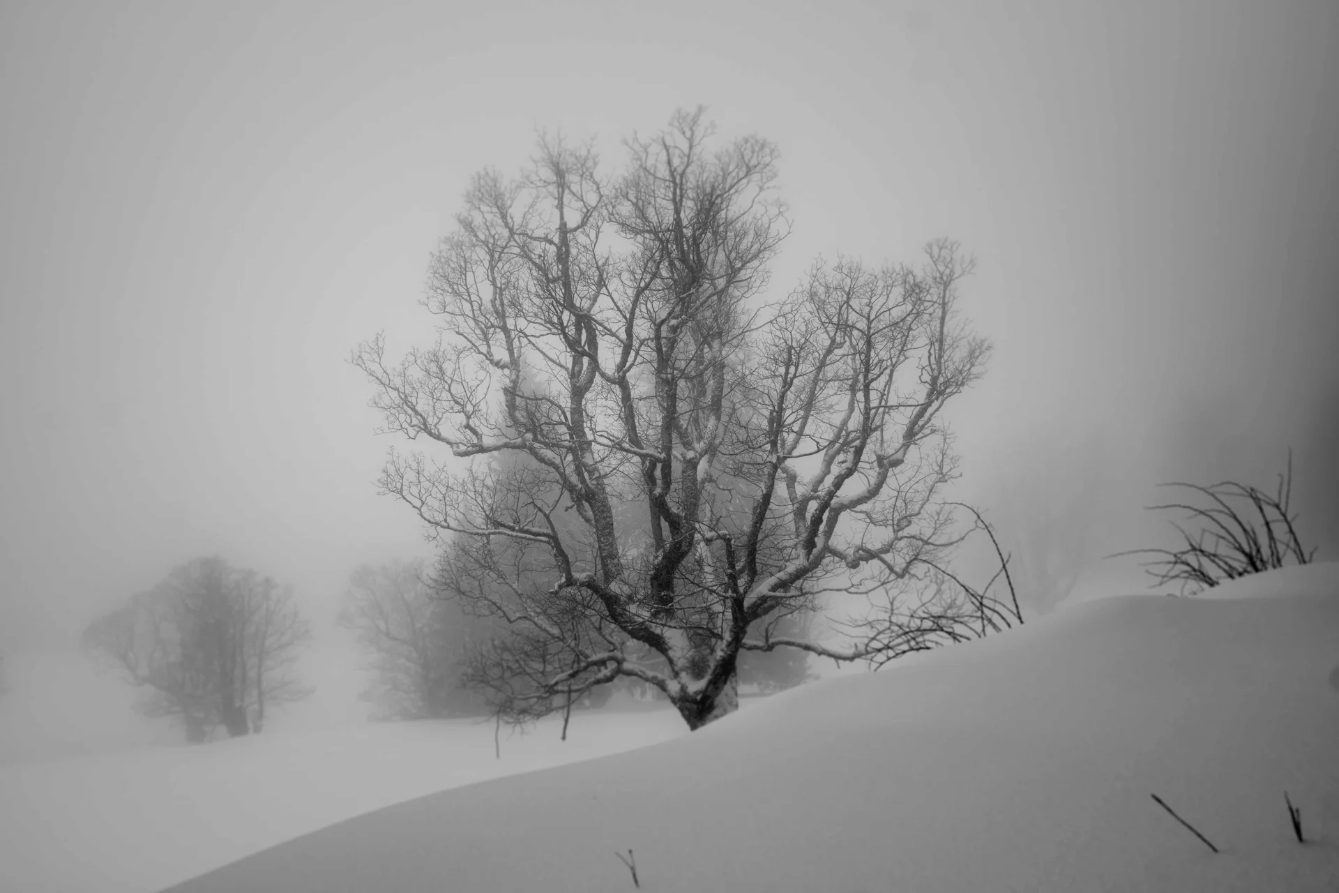 © DAV Illertissen