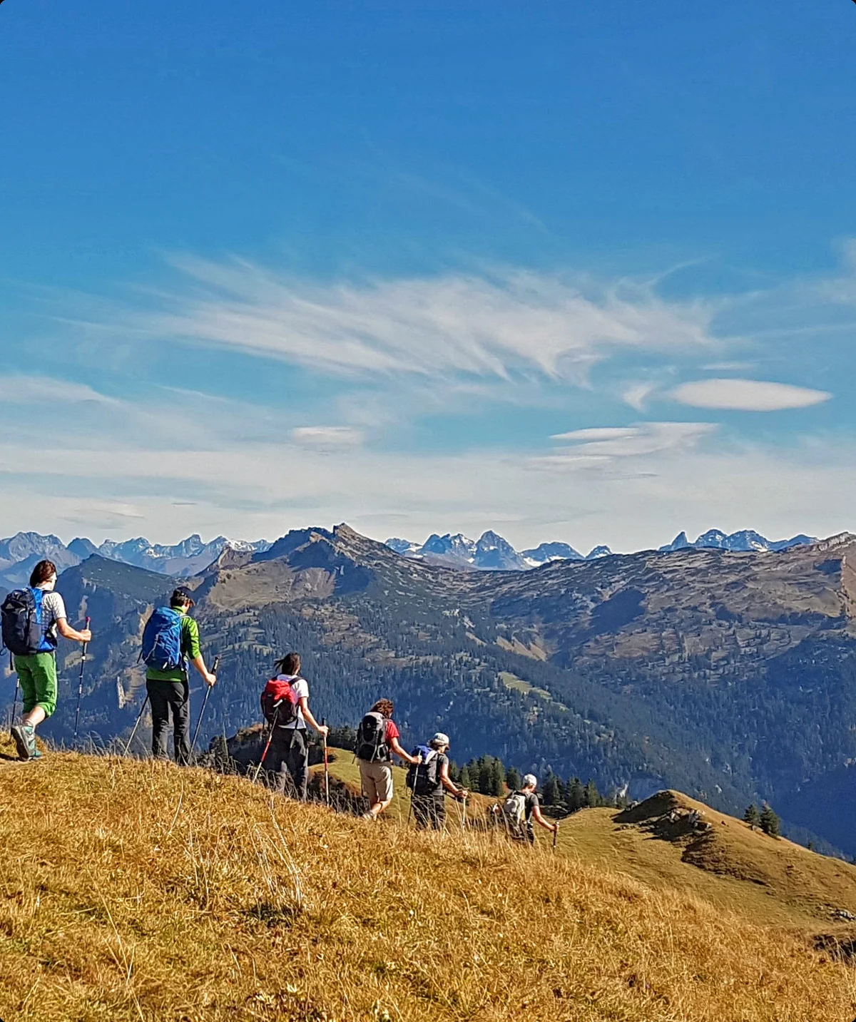 © Stephan Testzloff