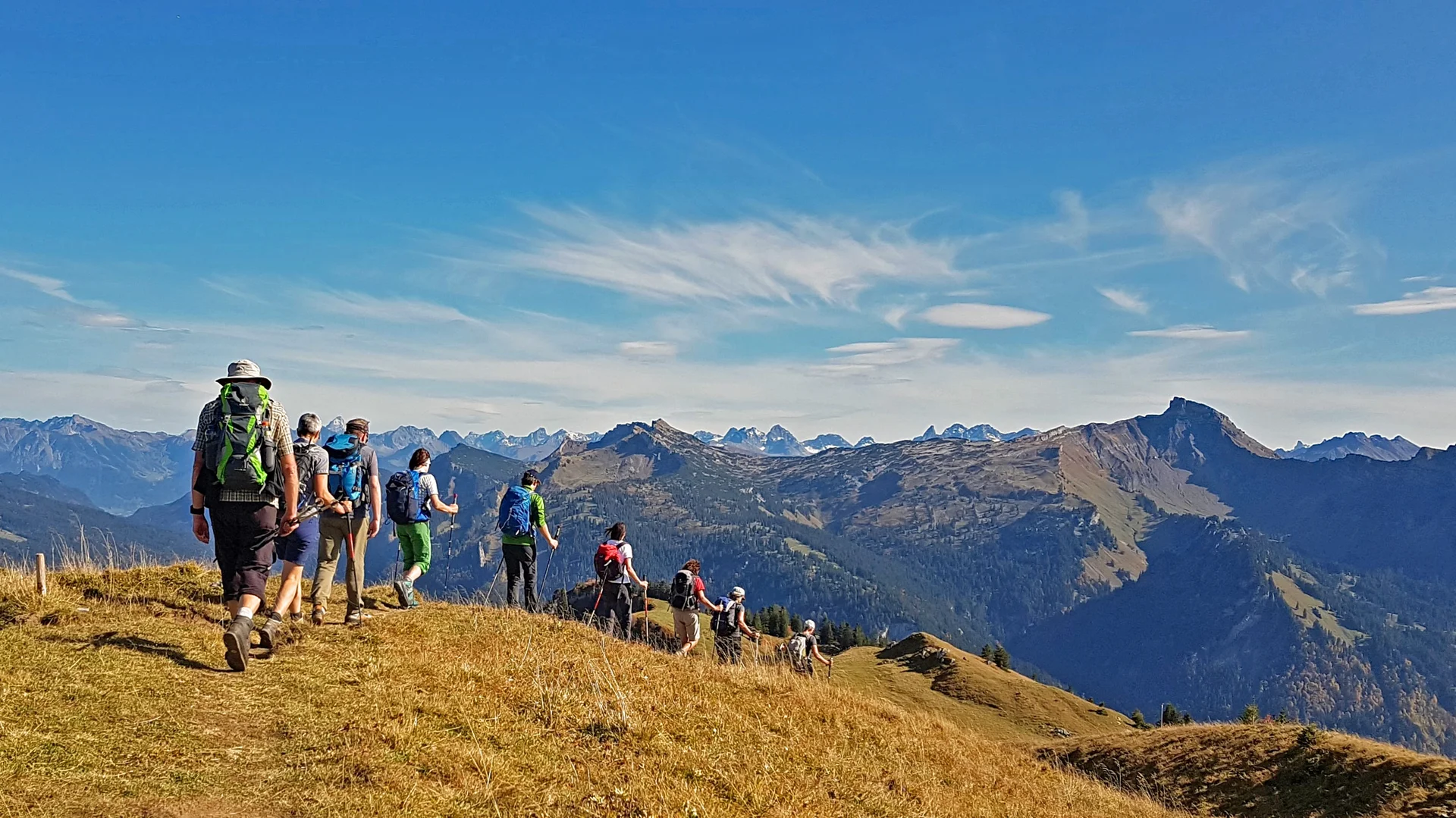 © Stephan Testzloff