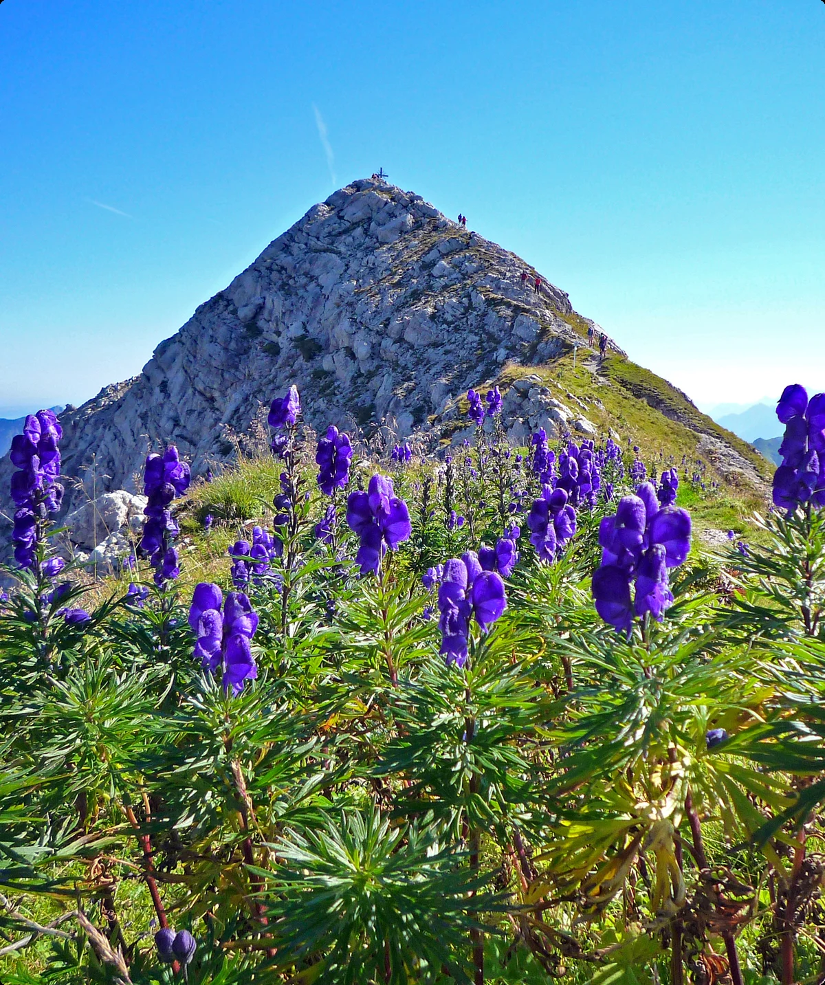 © Stephan Testzloff