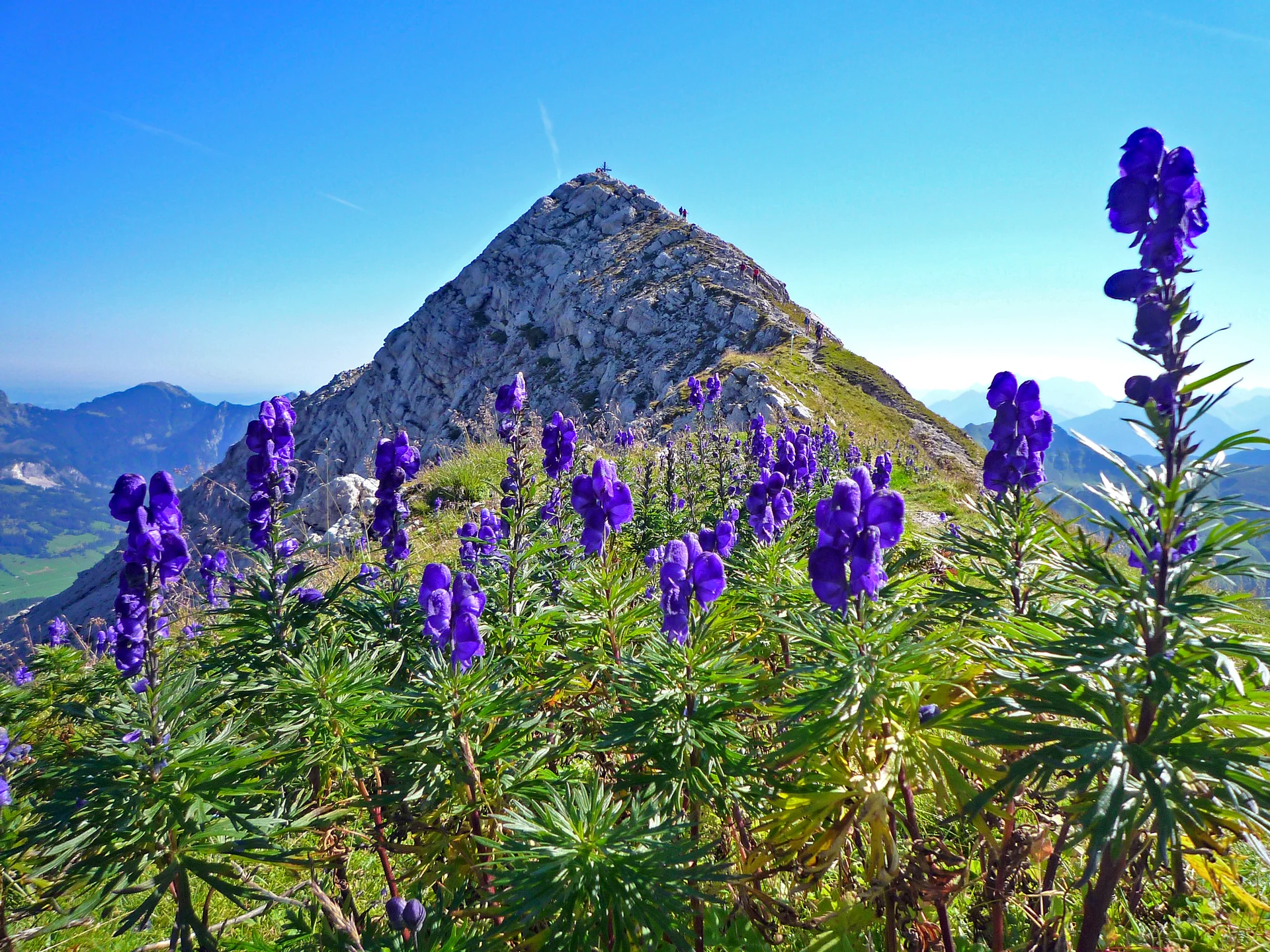 © Stephan Testzloff