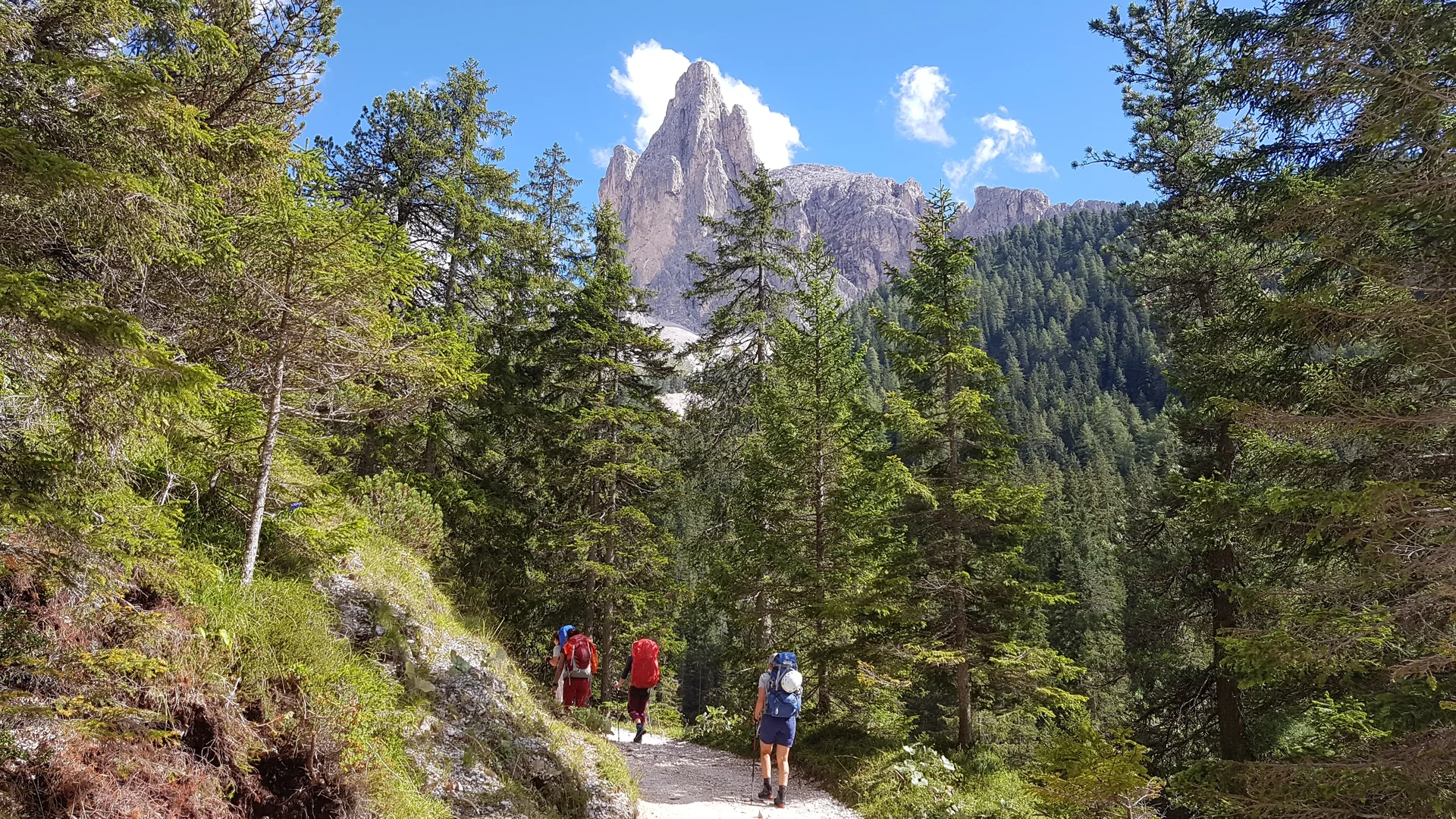 © Stephan Testzloff