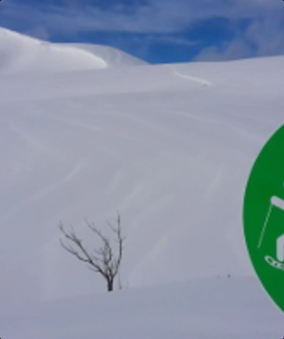 ©  Stephan Tetzloff