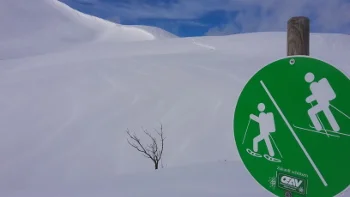 ©  Stephan Tetzloff