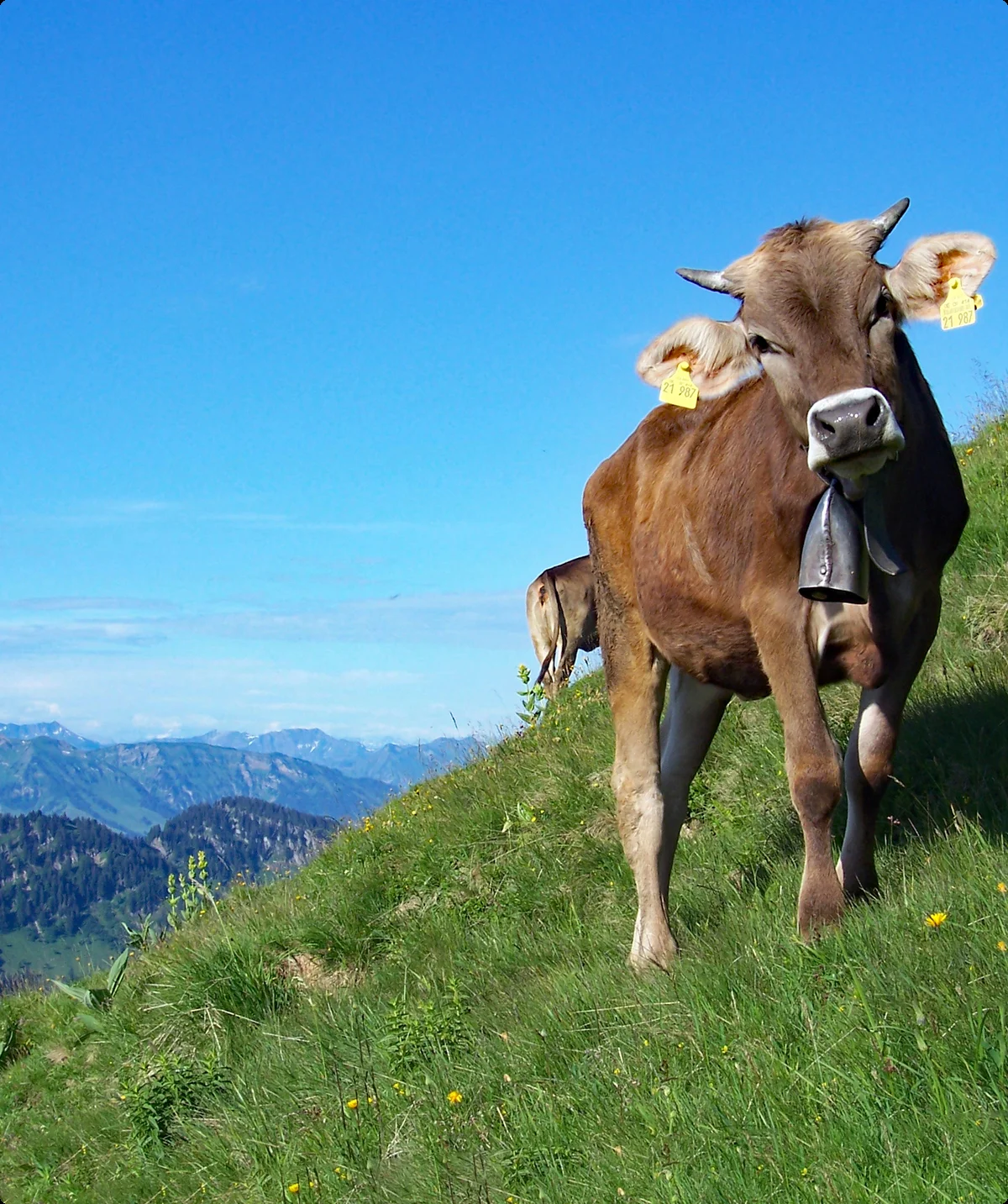 Nagelfluhkette | © Stephan Tetzloff
