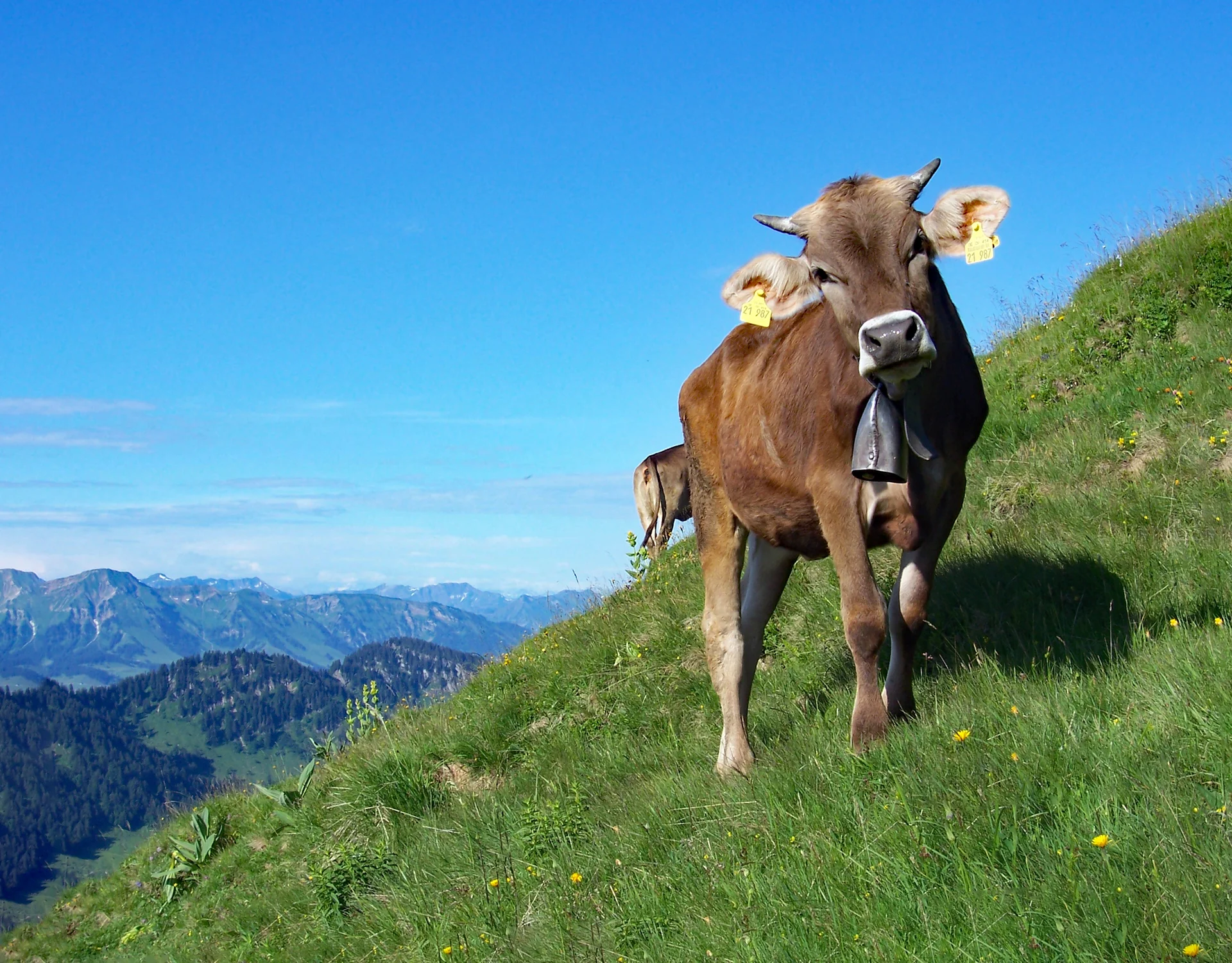 Nagelfluhkette | © Stephan Tetzloff
